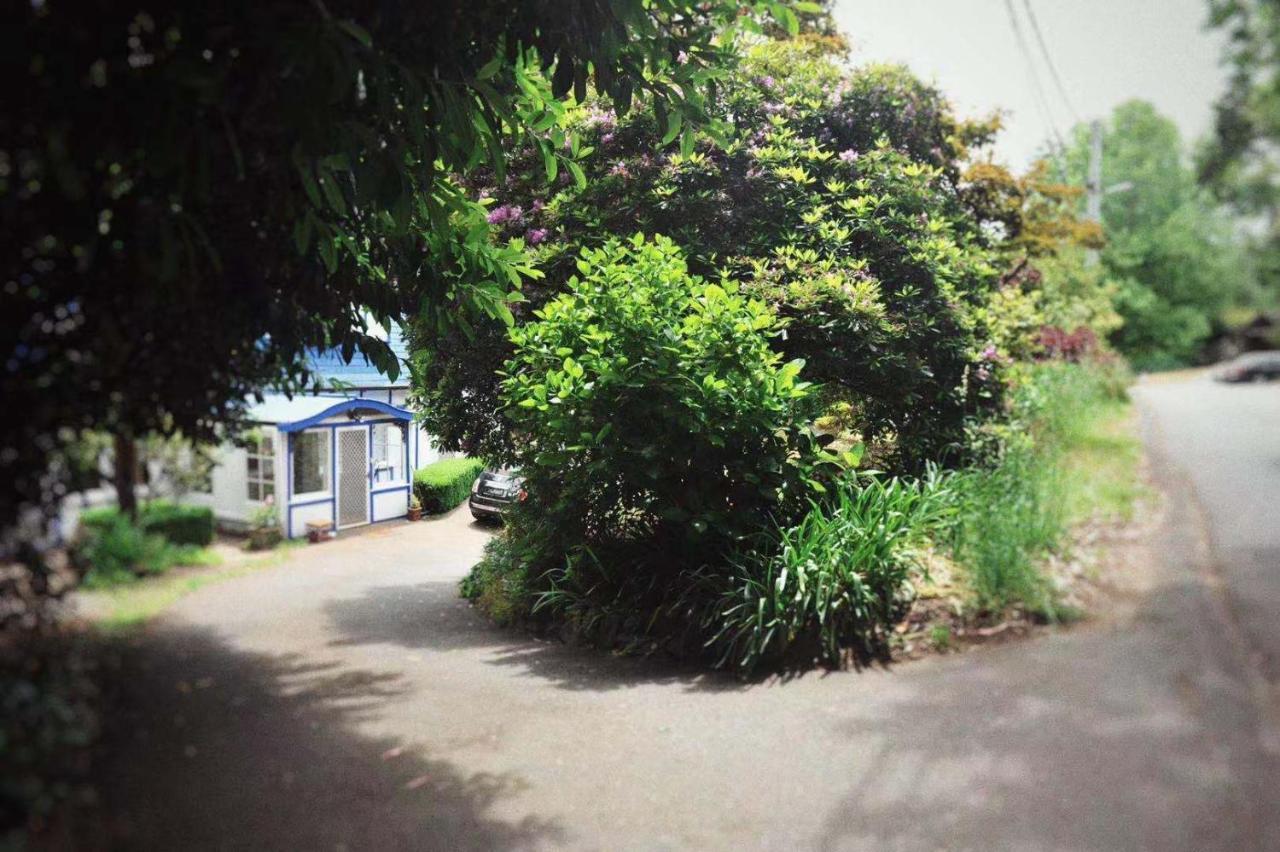 올린다 Blue And White House 빌라 외부 사진